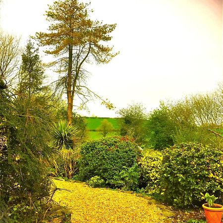 Heddfan Bed and Breakfast Llanboidy Eksteriør billede
