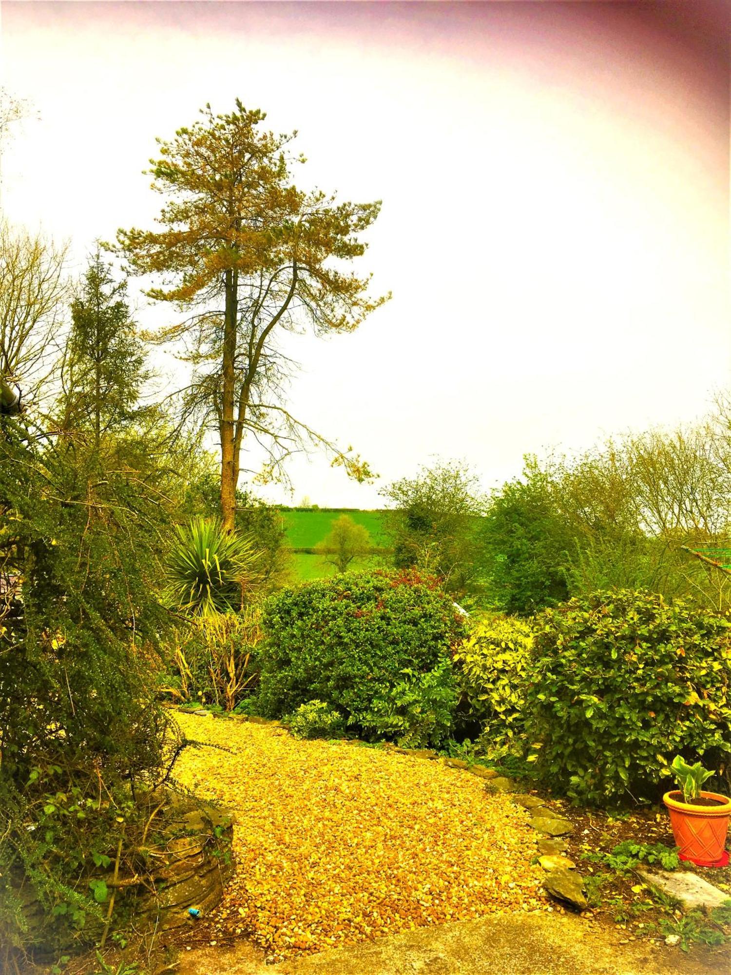 Heddfan Bed and Breakfast Llanboidy Eksteriør billede