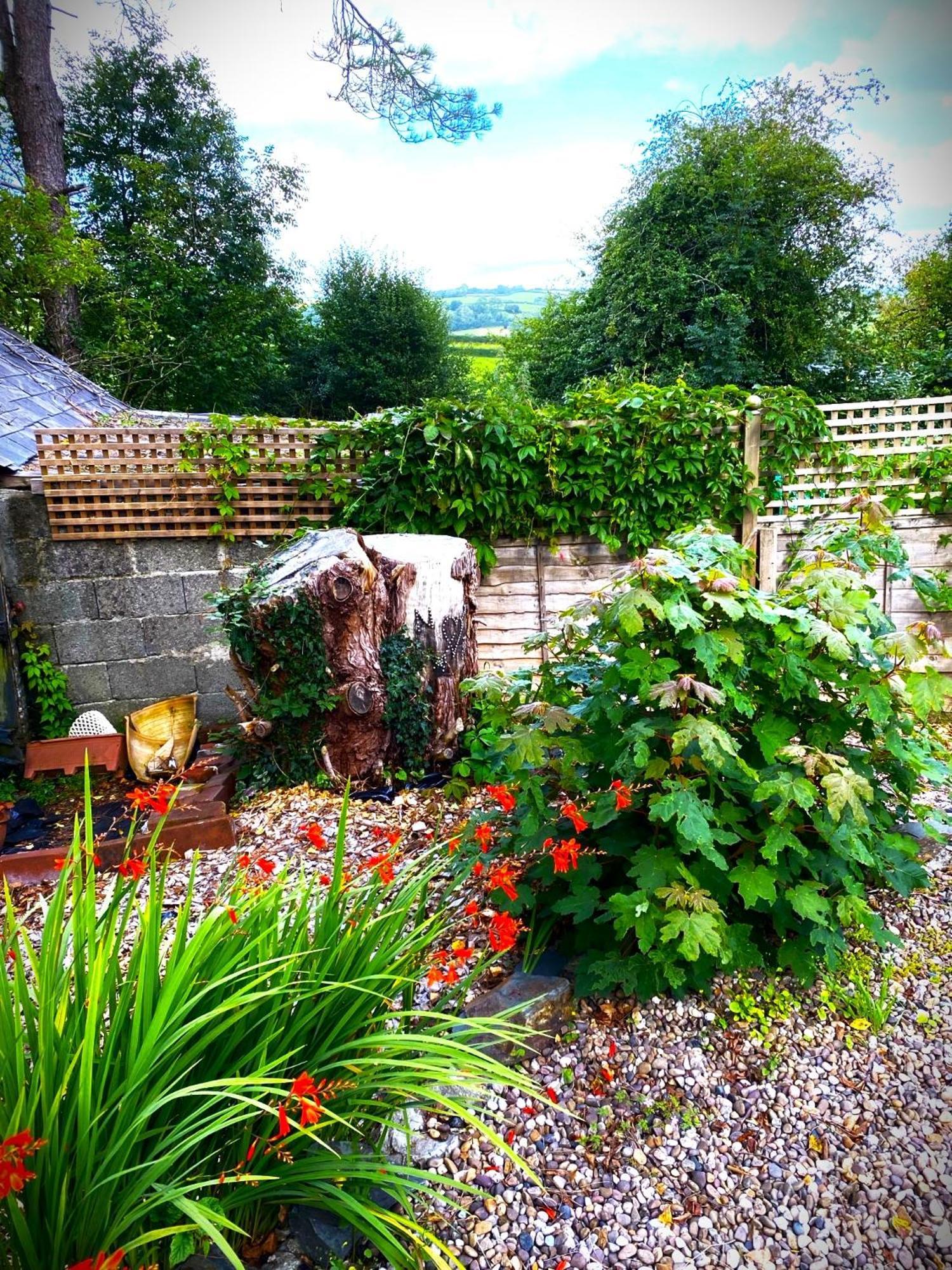 Heddfan Bed and Breakfast Llanboidy Eksteriør billede